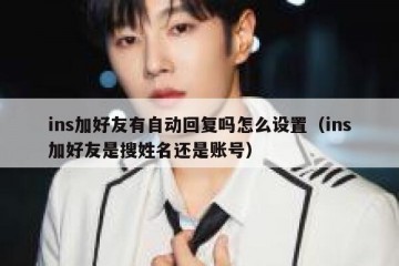 ins加好友有自动回复吗怎么设置（ins加好友是搜姓名还是账号）