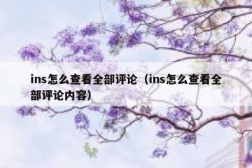 ins怎么查看全部评论（ins怎么查看全部评论内容）