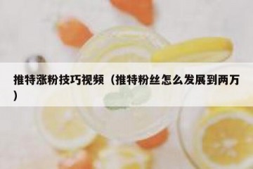 推特涨粉技巧视频（推特粉丝怎么发展到两万）