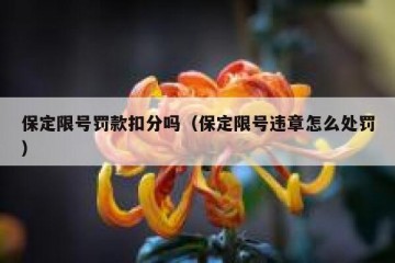 保定限号罚款扣分吗（保定限号违章怎么处罚）