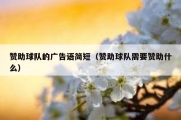 赞助球队的广告语简短（赞助球队需要赞助什么）