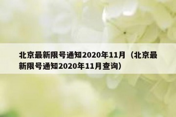 北京最新限号通知2020年11月（北京最新限号通知2020年11月查询）