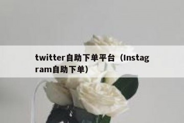 twitter自助下单平台（Instagram自助下单）