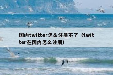 国内twitter怎么注册不了（twitter在国内怎么注册）