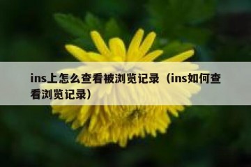 ins上怎么查看被浏览记录（ins如何查看浏览记录）