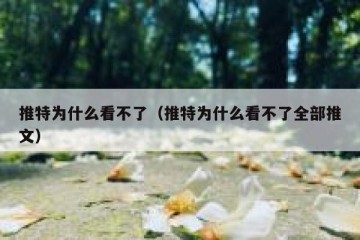 推特为什么看不了（推特为什么看不了全部推文）
