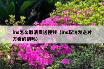 ins怎么取消发送视频（ins取消发送对方看的到吗）
