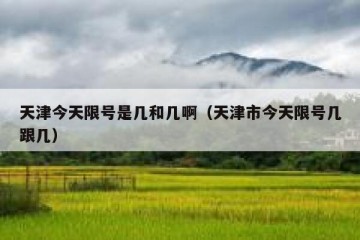 天津今天限号是几和几啊（天津市今天限号几跟几）