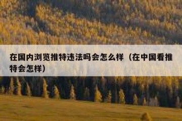 在国内浏览推特违法吗会怎么样（在中国看推特会怎样）