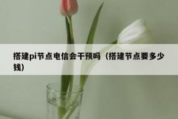 搭建pi节点电信会干预吗（搭建节点要多少钱）