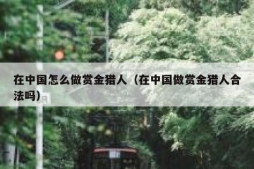 在中国怎么做赏金猎人（在中国做赏金猎人合法吗）