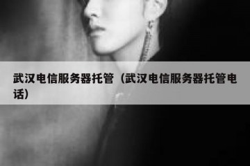 武汉电信服务器托管（武汉电信服务器托管电话）
