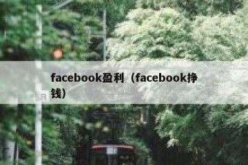 facebook盈利（facebook挣钱）