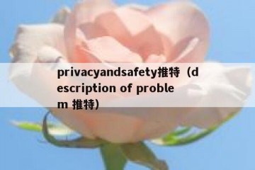 privacyandsafety推特（description of problem 推特）