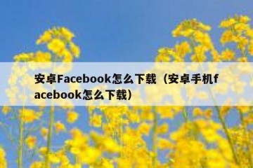 安卓Facebook怎么下载（安卓手机facebook怎么下载）