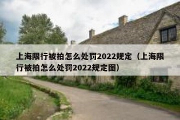 上海限行被拍怎么处罚2022规定（上海限行被拍怎么处罚2022规定图）