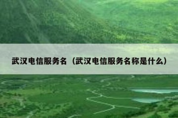 武汉电信服务名（武汉电信服务名称是什么）