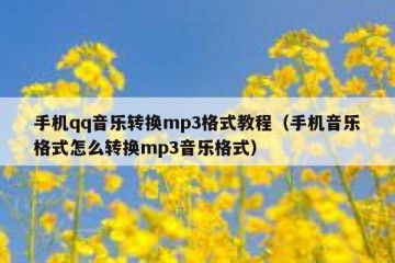 手机qq音乐转换mp3格式教程（手机音乐格式怎么转换mp3音乐格式）