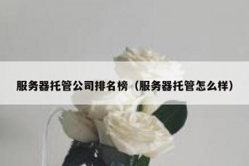 服务器托管公司排名榜（服务器托管怎么样）