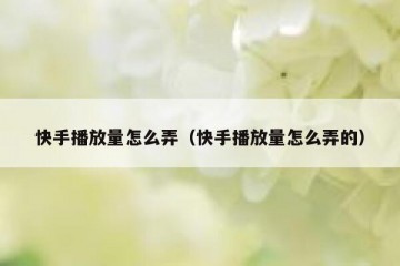 快手播放量怎么弄（快手播放量怎么弄的）