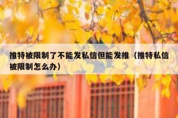 推特被限制了不能发私信但能发推（推特私信被限制怎么办）
