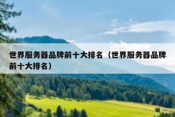 世界服务器品牌前十大排名（世界服务器品牌前十大排名）