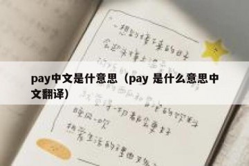pay中文是什意思（pay 是什么意思中文翻译）
