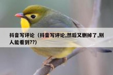 抖音写评论（抖音写评论,然后又删掉了,别人能看到??）