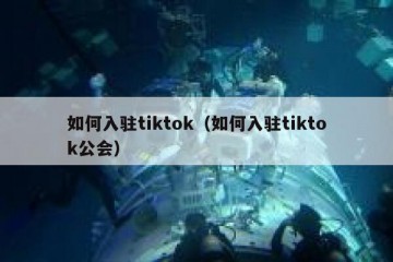 如何入驻tiktok（如何入驻tiktok公会）