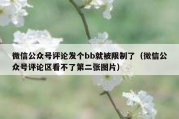 微信公众号评论发个bb就被限制了（微信公众号评论区看不了第二张图片）