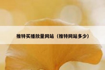 推特买播放量网站（推特网站多少）