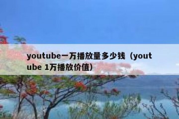 youtube一万播放量多少钱（youtube 1万播放价值）