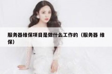 服务器维保项目是做什么工作的（服务器 维保）