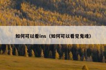 如何可以看ins（如何可以看见鬼魂）