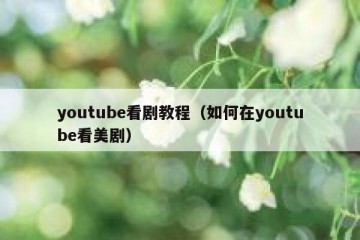 youtube看剧教程（如何在youtube看美剧）