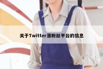 关于Twitter涨粉丝平台的信息