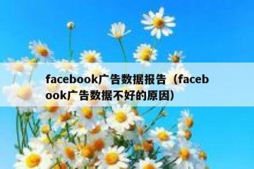 facebook广告数据报告（facebook广告数据不好的原因）