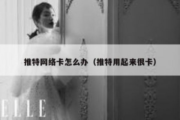 推特网络卡怎么办（推特用起来很卡）