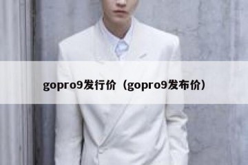 gopro9发行价（gopro9发布价）