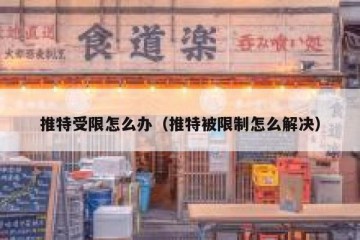 推特受限怎么办（推特被限制怎么解决）