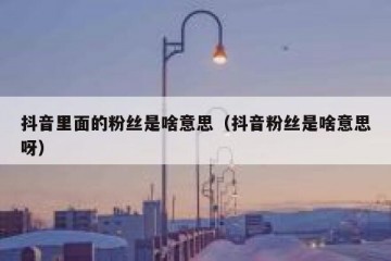抖音里面的粉丝是啥意思（抖音粉丝是啥意思呀）
