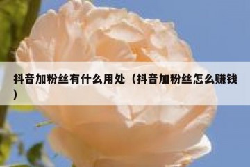 抖音加粉丝有什么用处（抖音加粉丝怎么赚钱）
