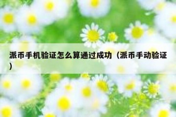 派币手机验证怎么算通过成功（派币手动验证）