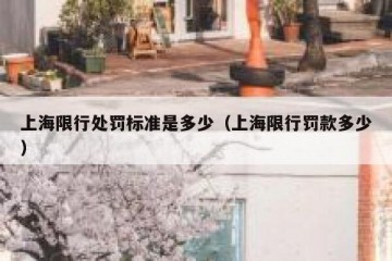 上海限行处罚标准是多少（上海限行罚款多少）