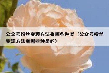 公众号粉丝变现方法有哪些种类（公众号粉丝变现方法有哪些种类的）