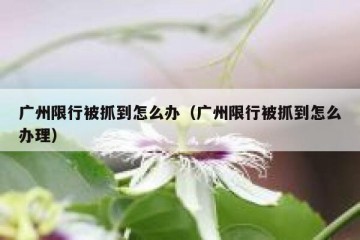 广州限行被抓到怎么办（广州限行被抓到怎么办理）