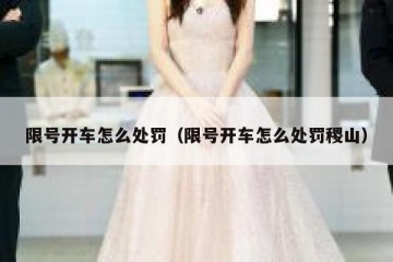 限号开车怎么处罚（限号开车怎么处罚稷山）