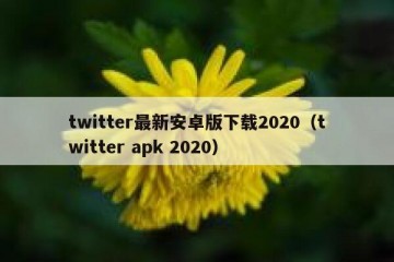 twitter最新安卓版下载2020（twitter apk 2020）