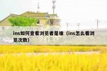 ins如何查看浏览者是谁（ins怎么看浏览次数）