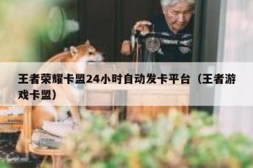 王者荣耀卡盟24小时自动发卡平台（王者游戏卡盟）